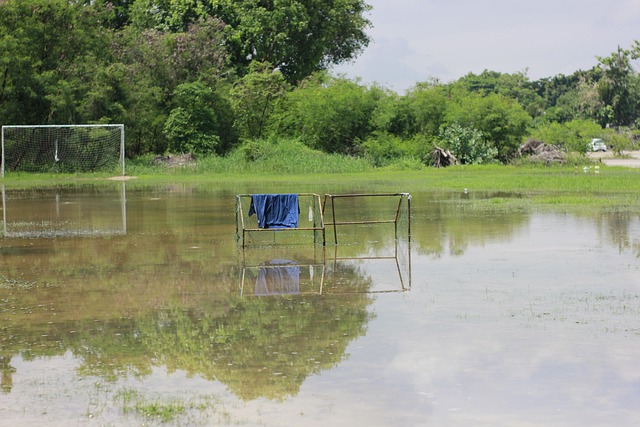 上的表现 上的表现