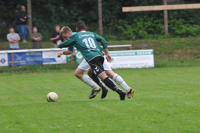 表现稳定 表现稳定